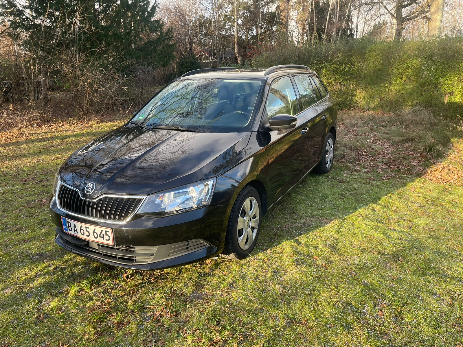 Skoda Fabia til salg hos Nabilli