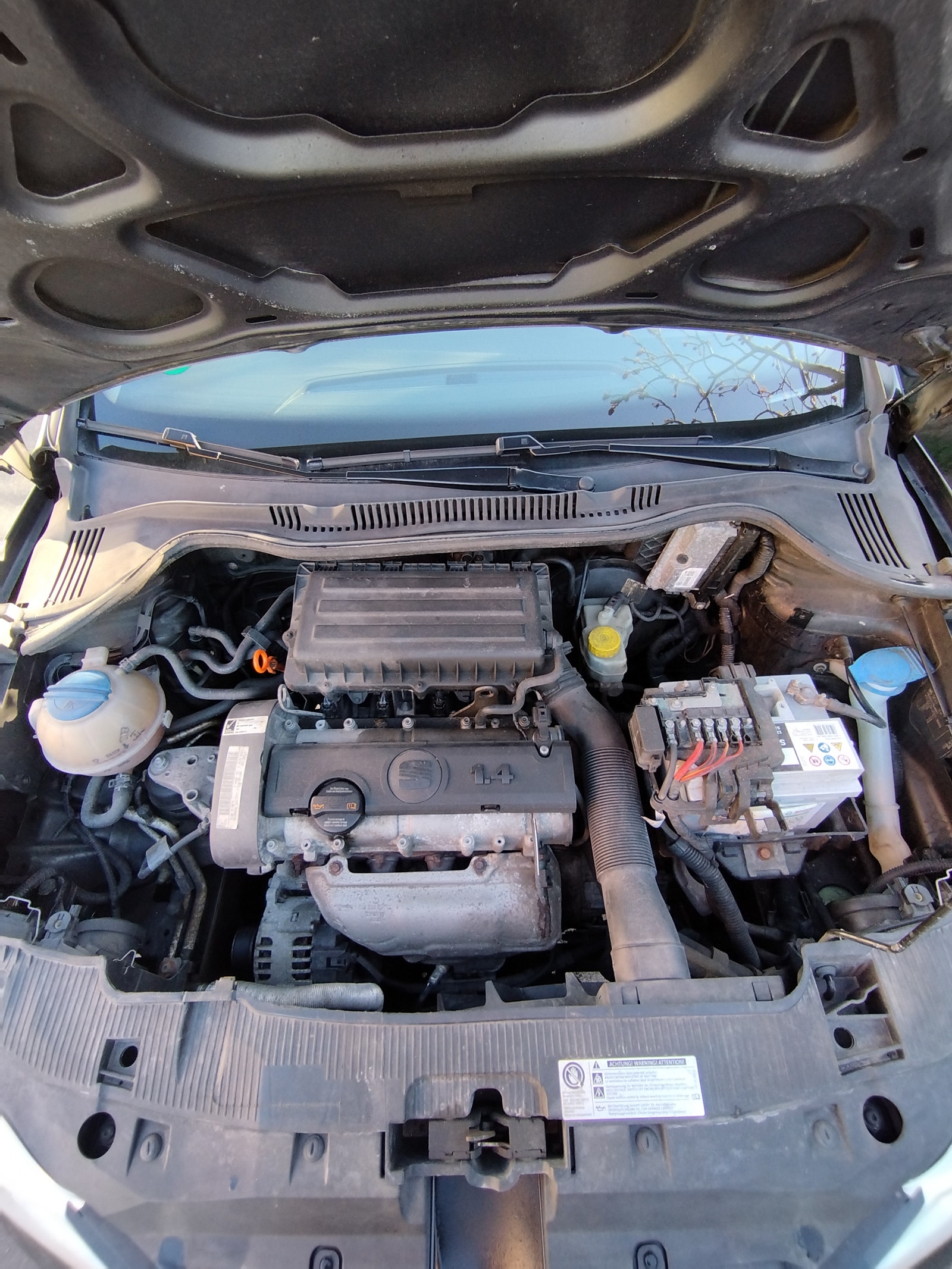 Seat Ibiza til salg hos Nabilli