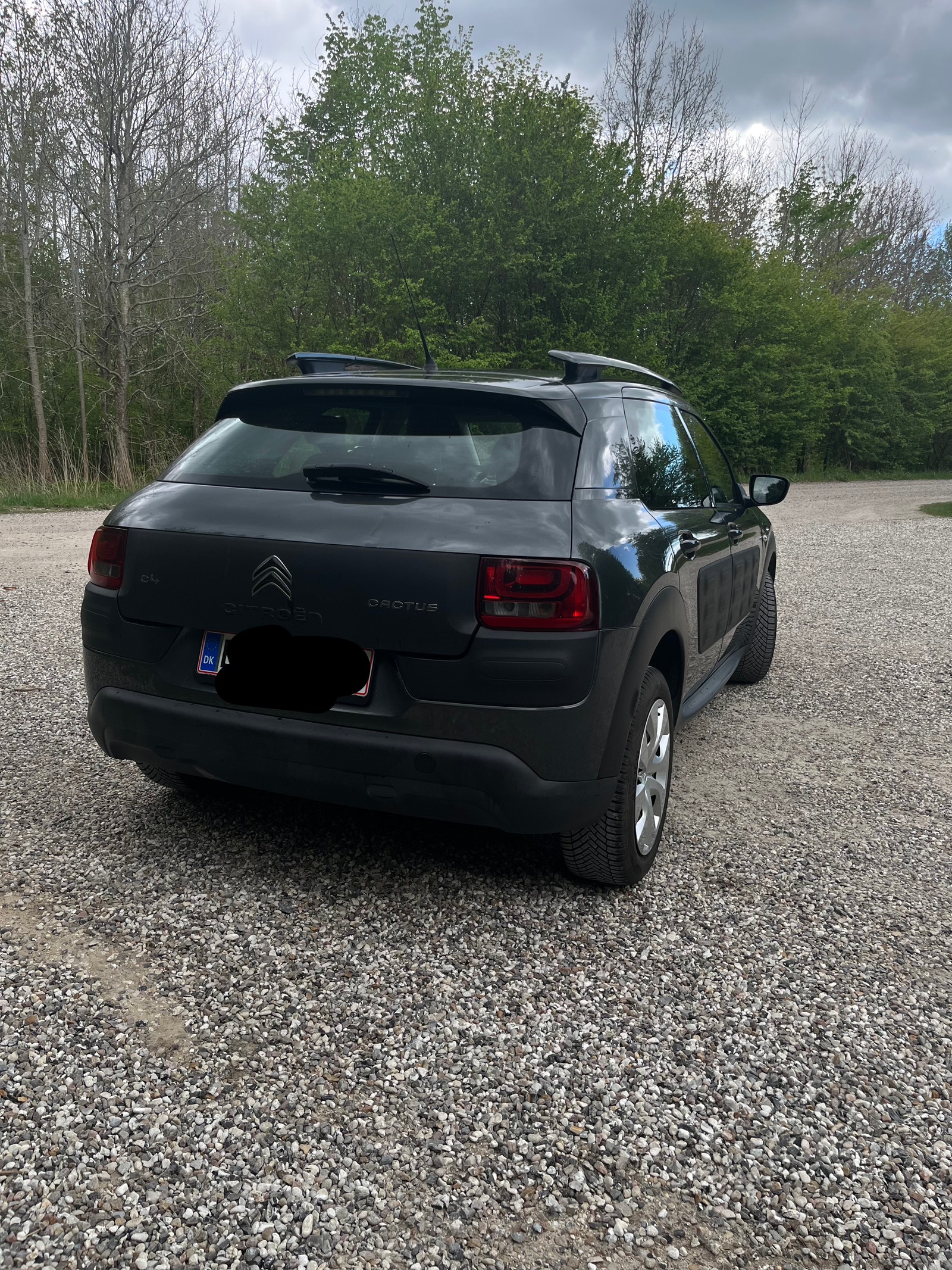 Citroen C4 Cactus til salg hos Nabilli