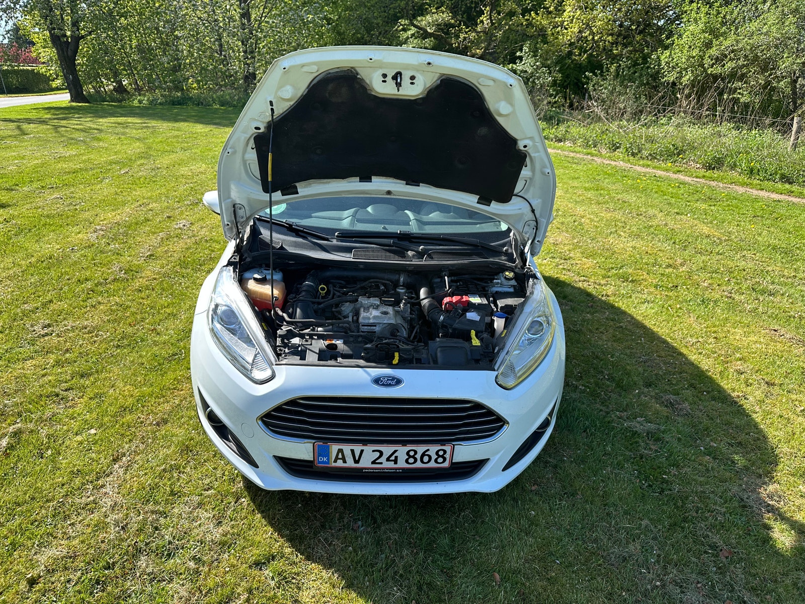 Ford Fiesta til salg hos Nabilli