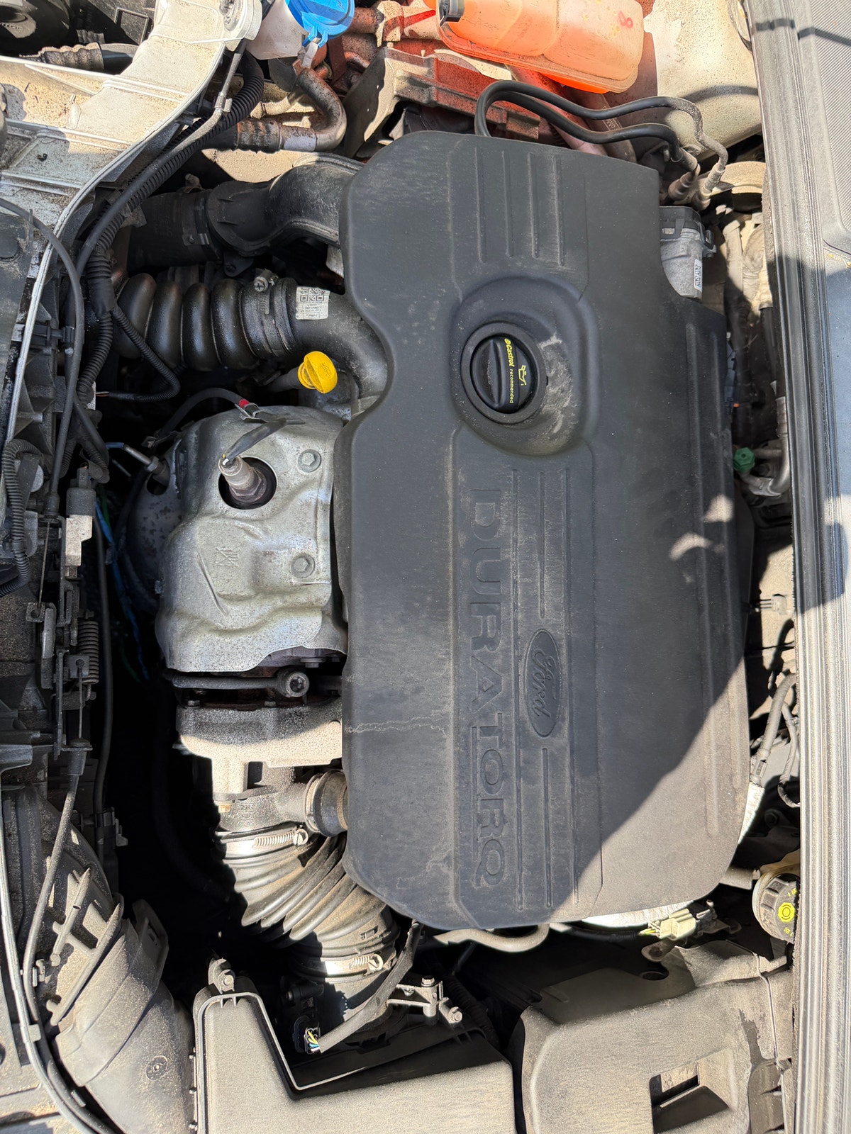 Ford Focus – billede 4