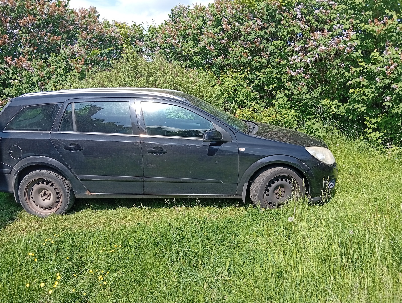 Opel Astra til salg hos Nabilli