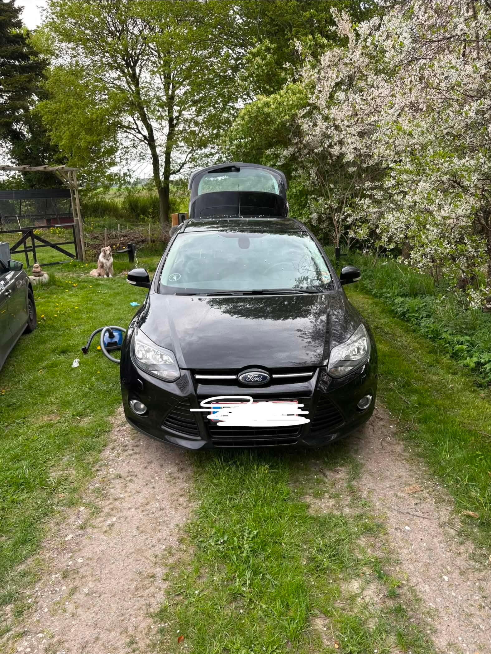 Ford Focus til salg hos Nabilli