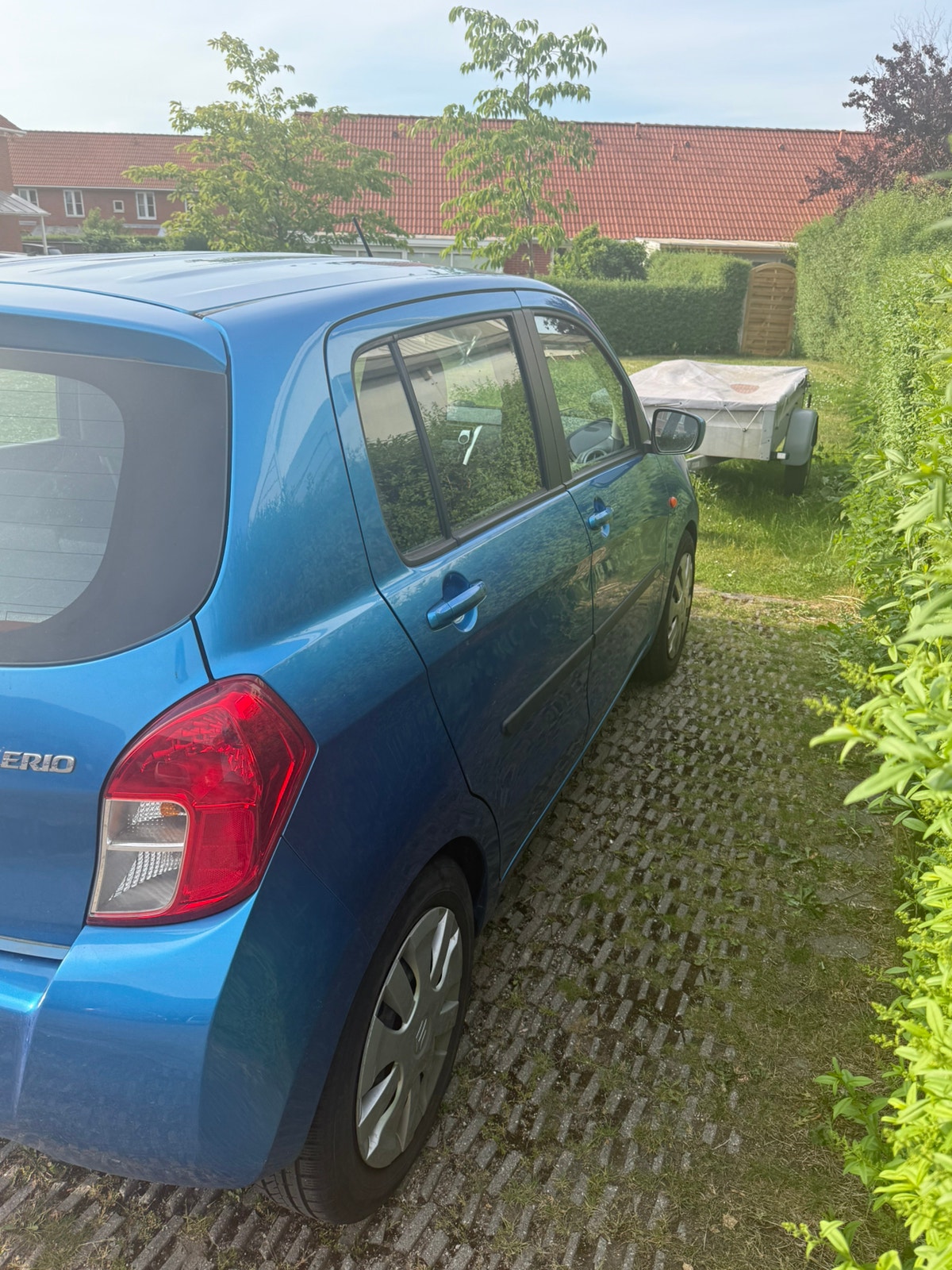 Suzuki Celerio til salg hos Nabilli