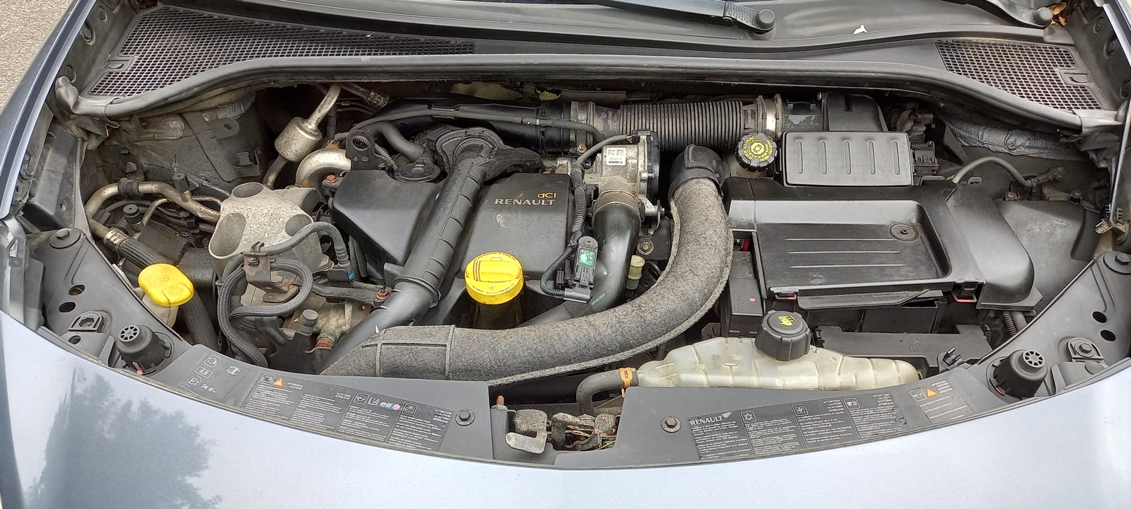Renault Clio III – billede 24