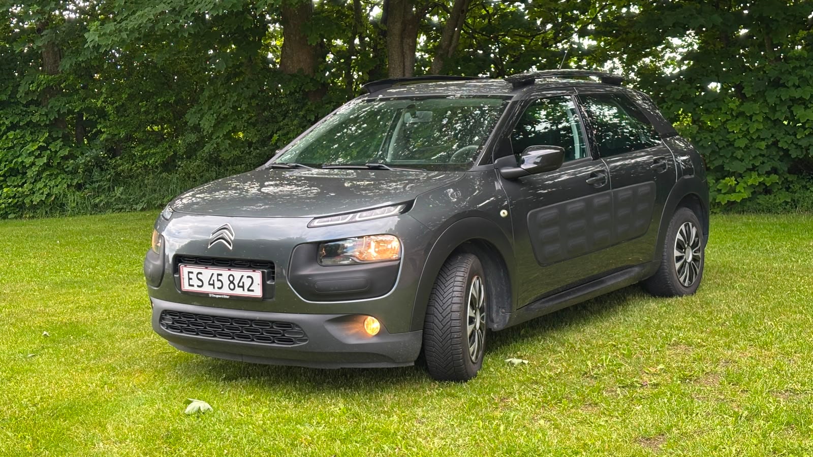 Citroen C4 Cactus – billede 3