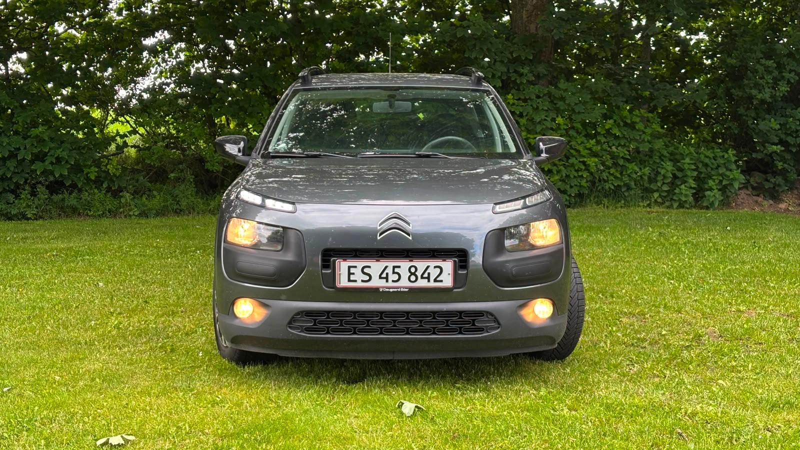 Citroen C4 Cactus – billede 2