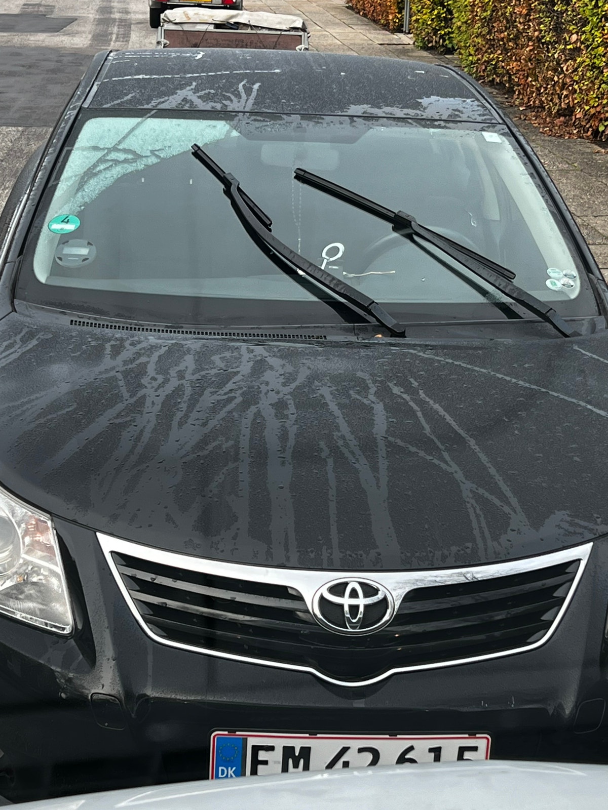 Toyota Avensis til salg hos Nabilli