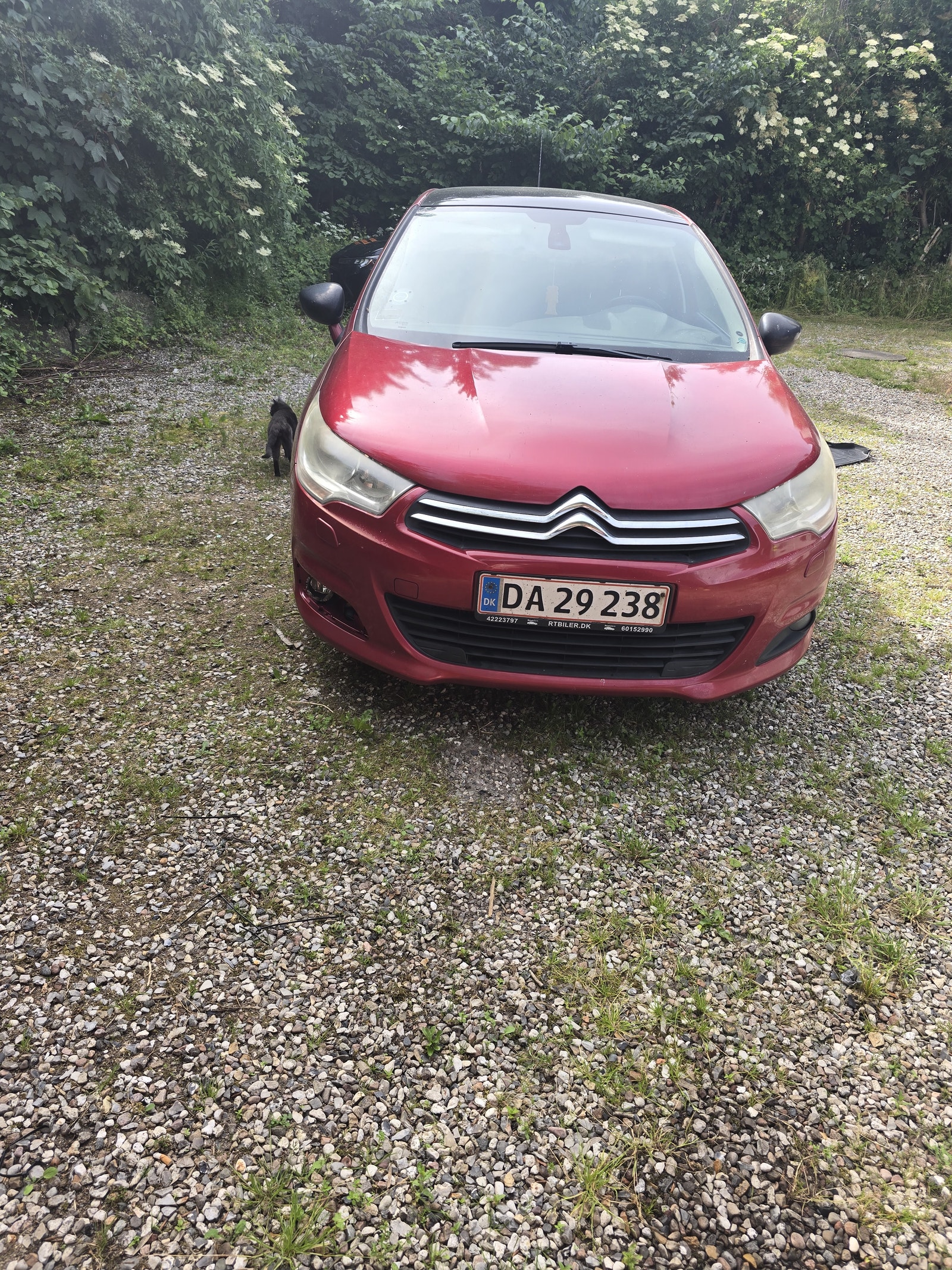 Citroen C4 – billede 2
