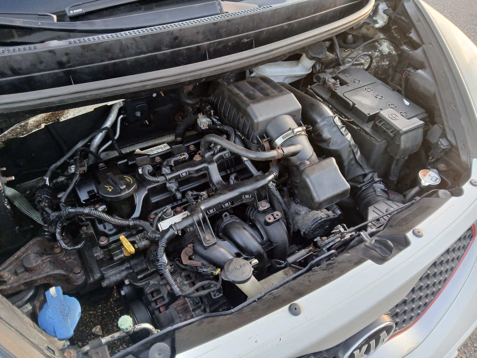 Kia Picanto – billede 5