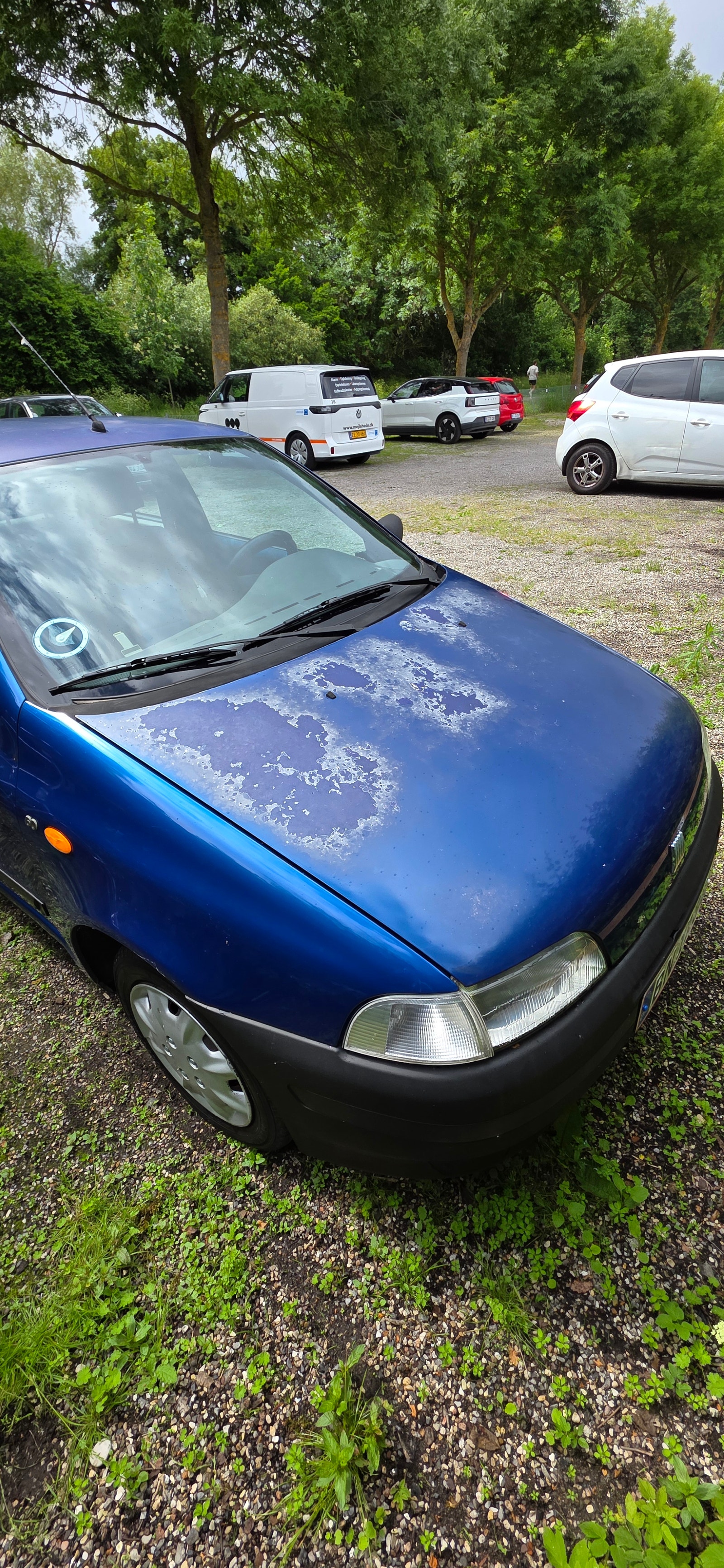 Fiat Punto – billede 16