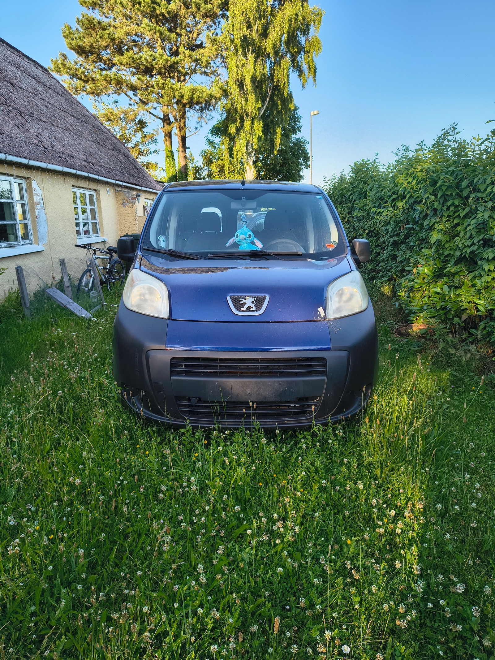 Peugeot Bipper Tepee – billede 6
