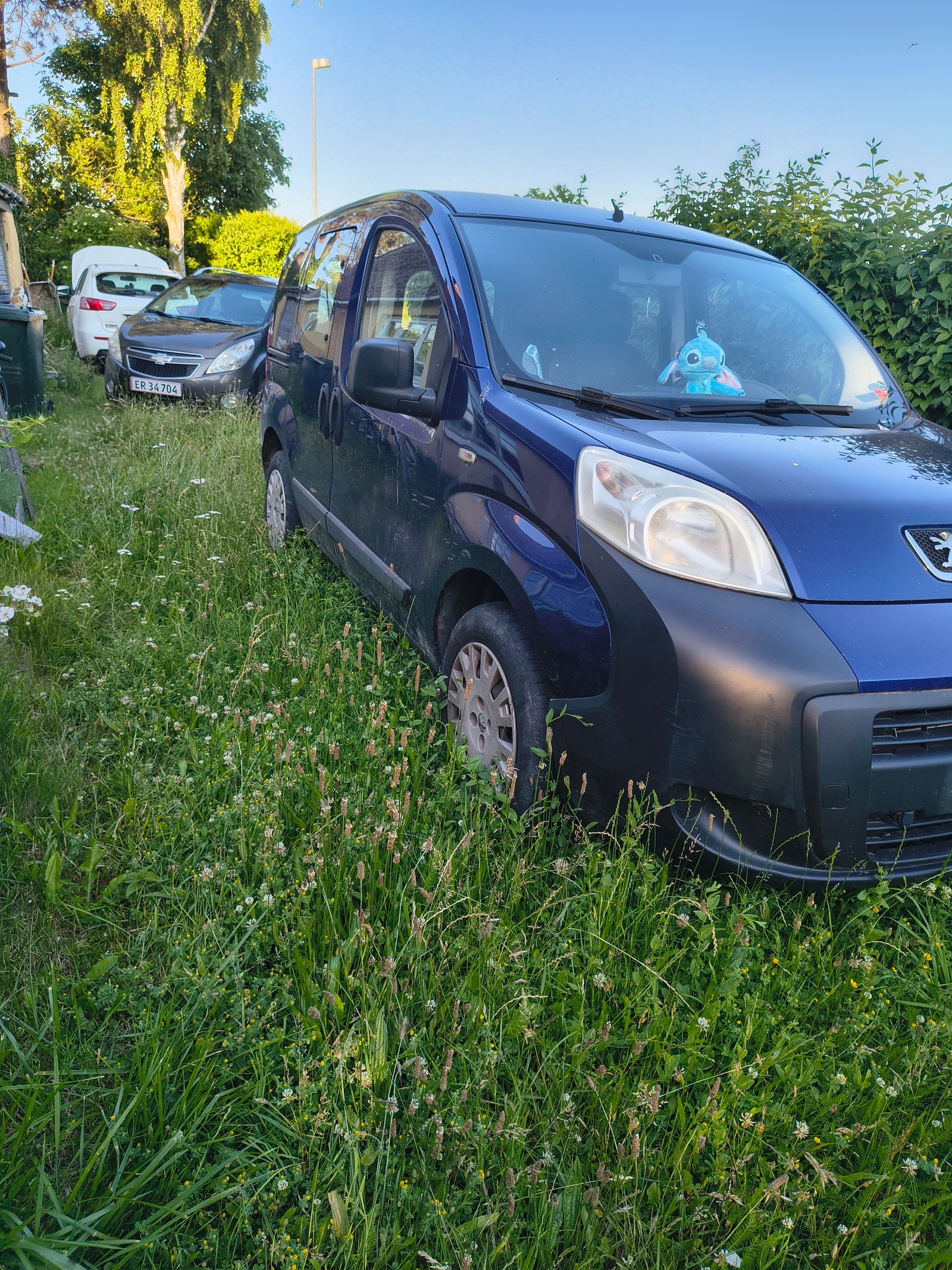 Peugeot Bipper Tepee – billede 3