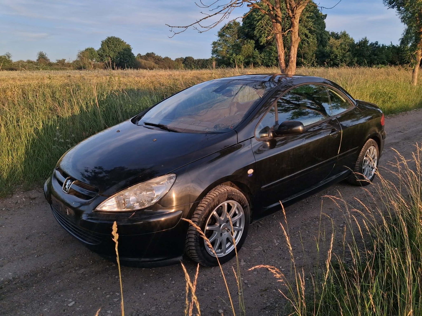 Peugeot 307 til salg hos Nabilli