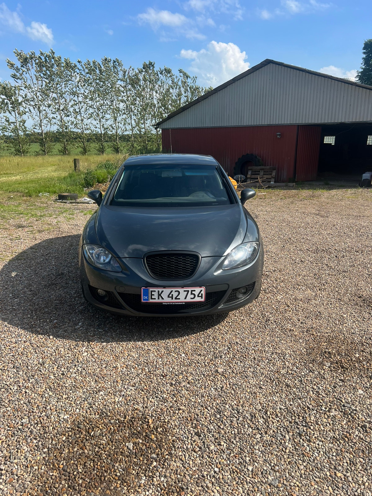 Seat Leon til salg hos Nabilli