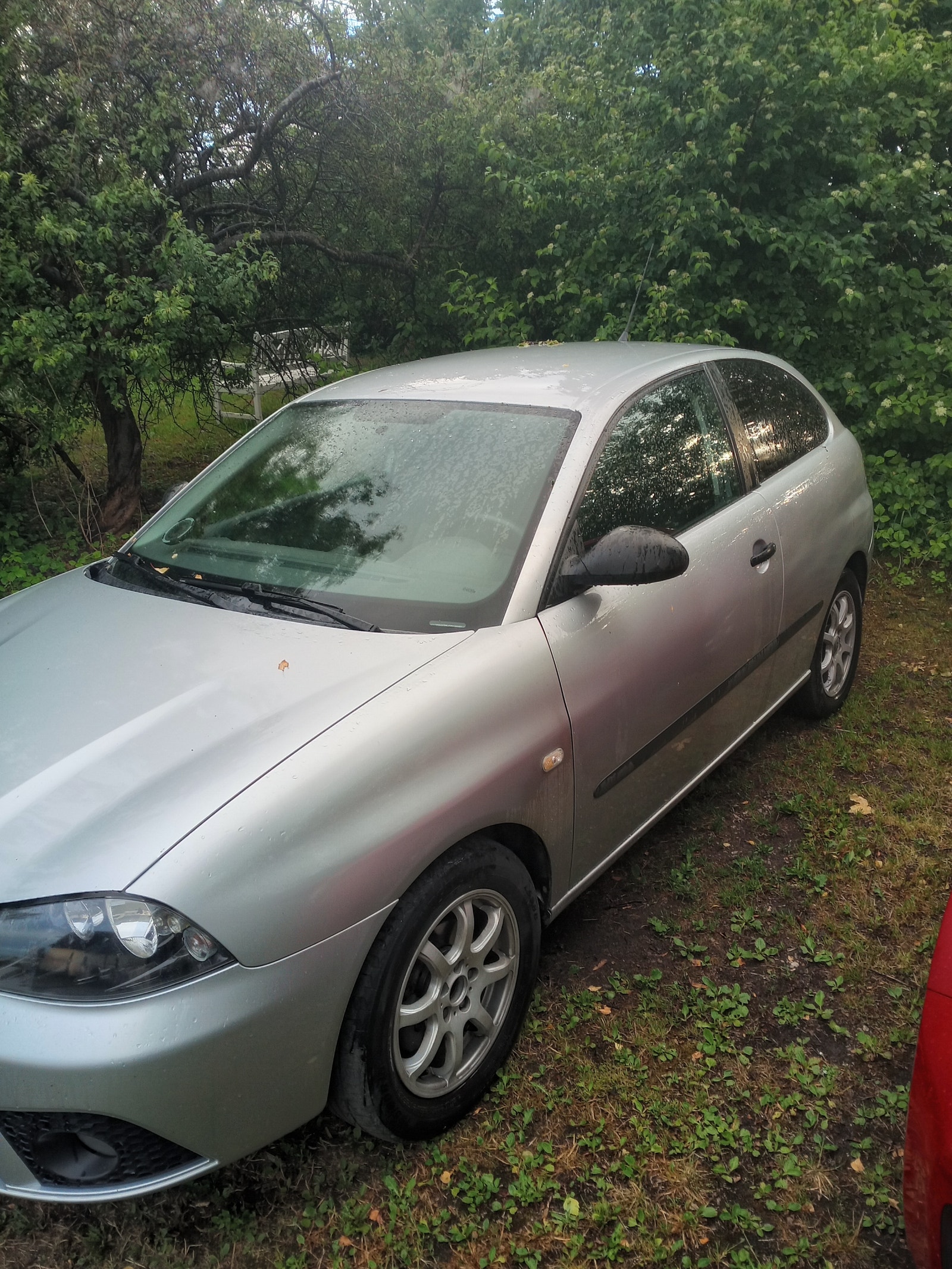 Seat Ibiza – billede 3