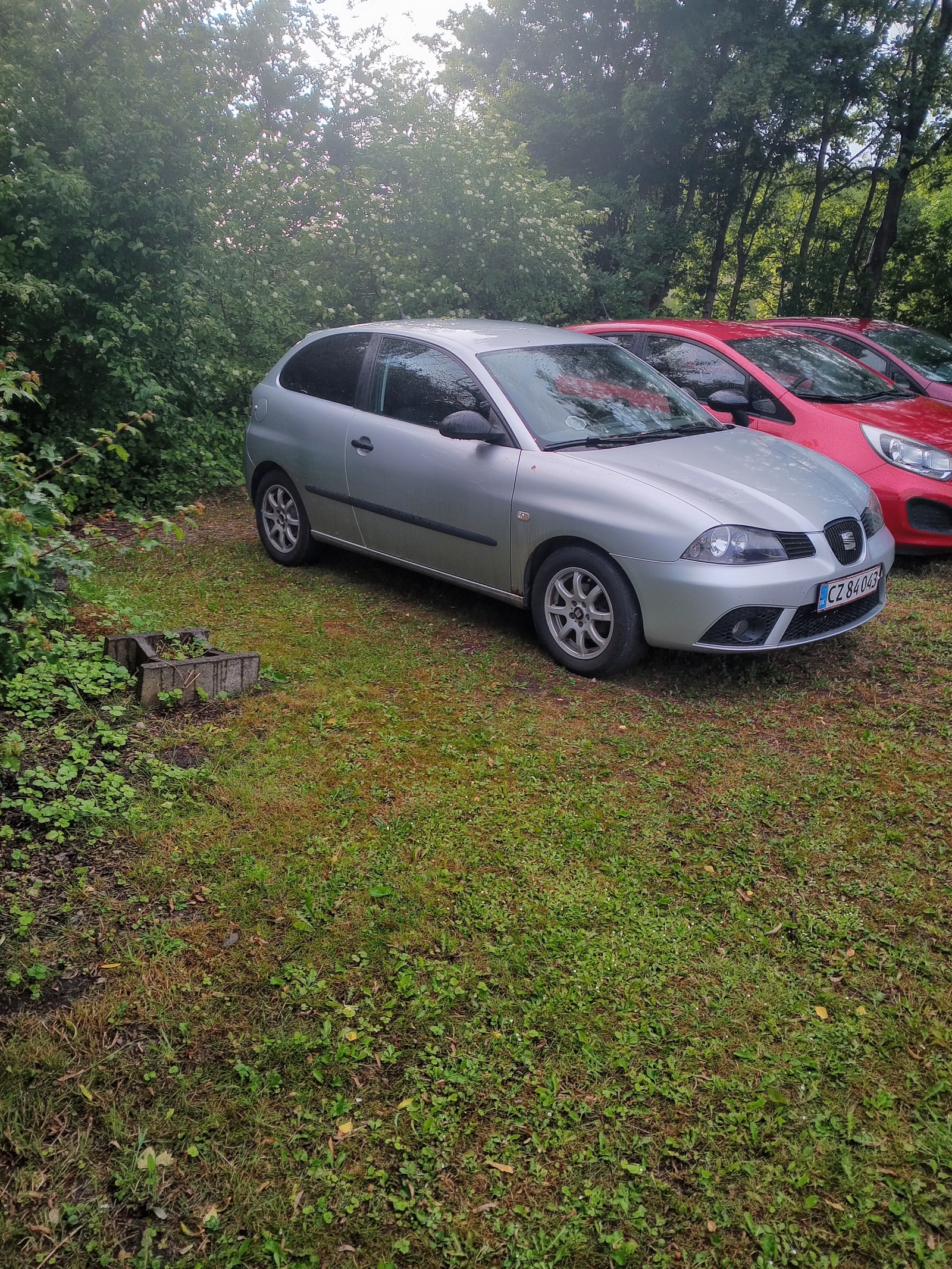 Seat Ibiza – billede 2