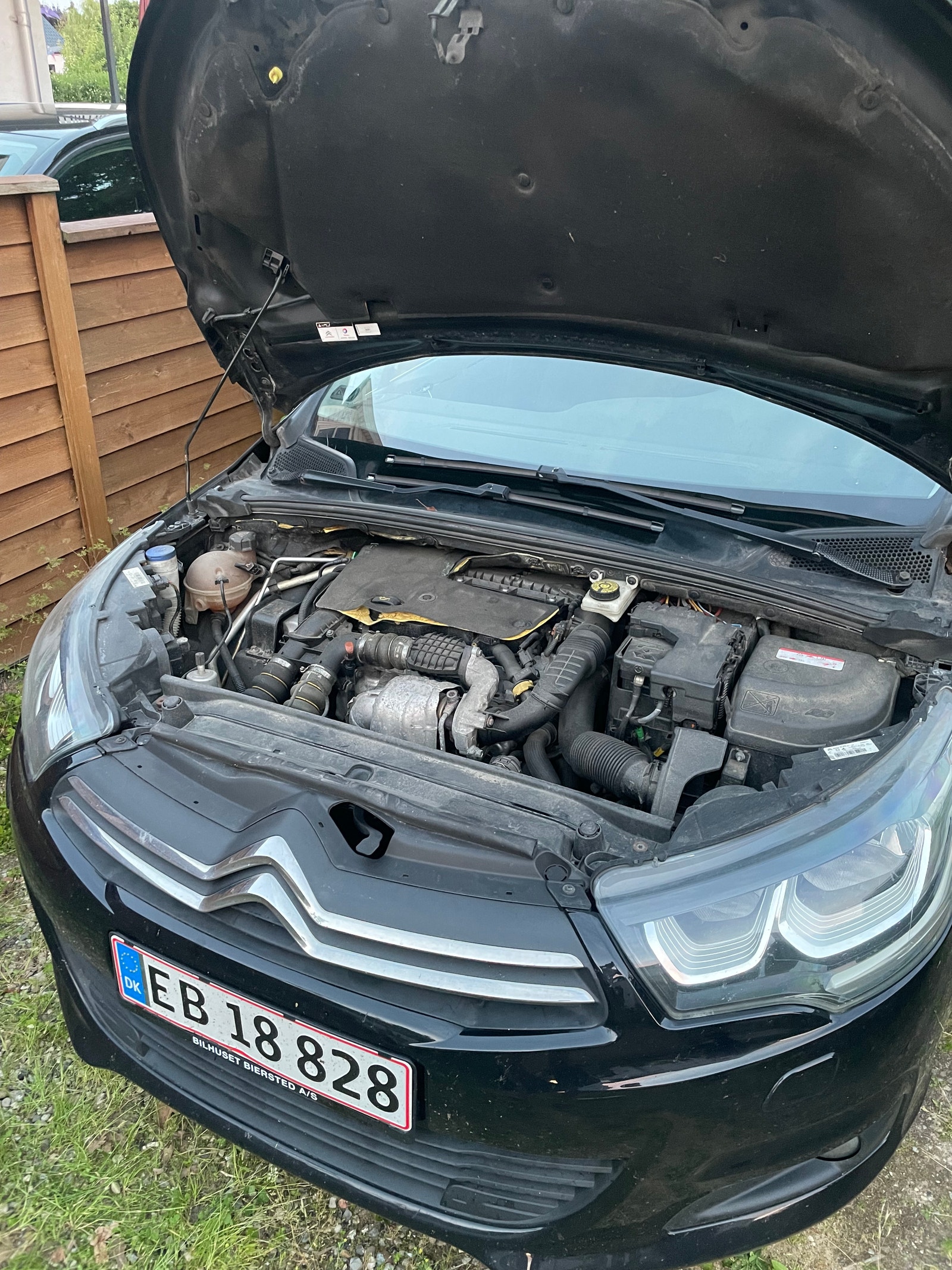 Citroen C4 til salg hos Nabilli