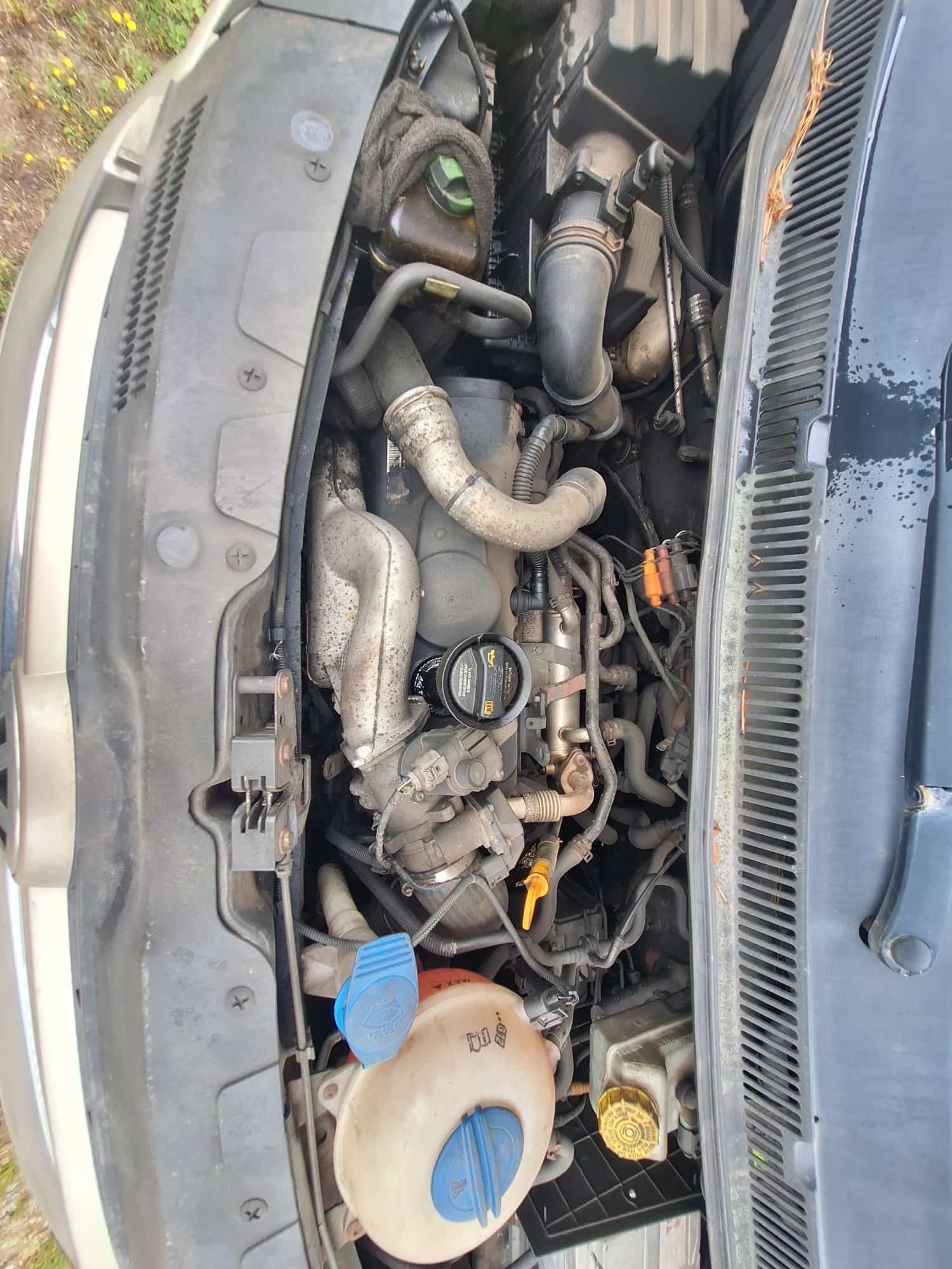 VW Transporter – billede 10