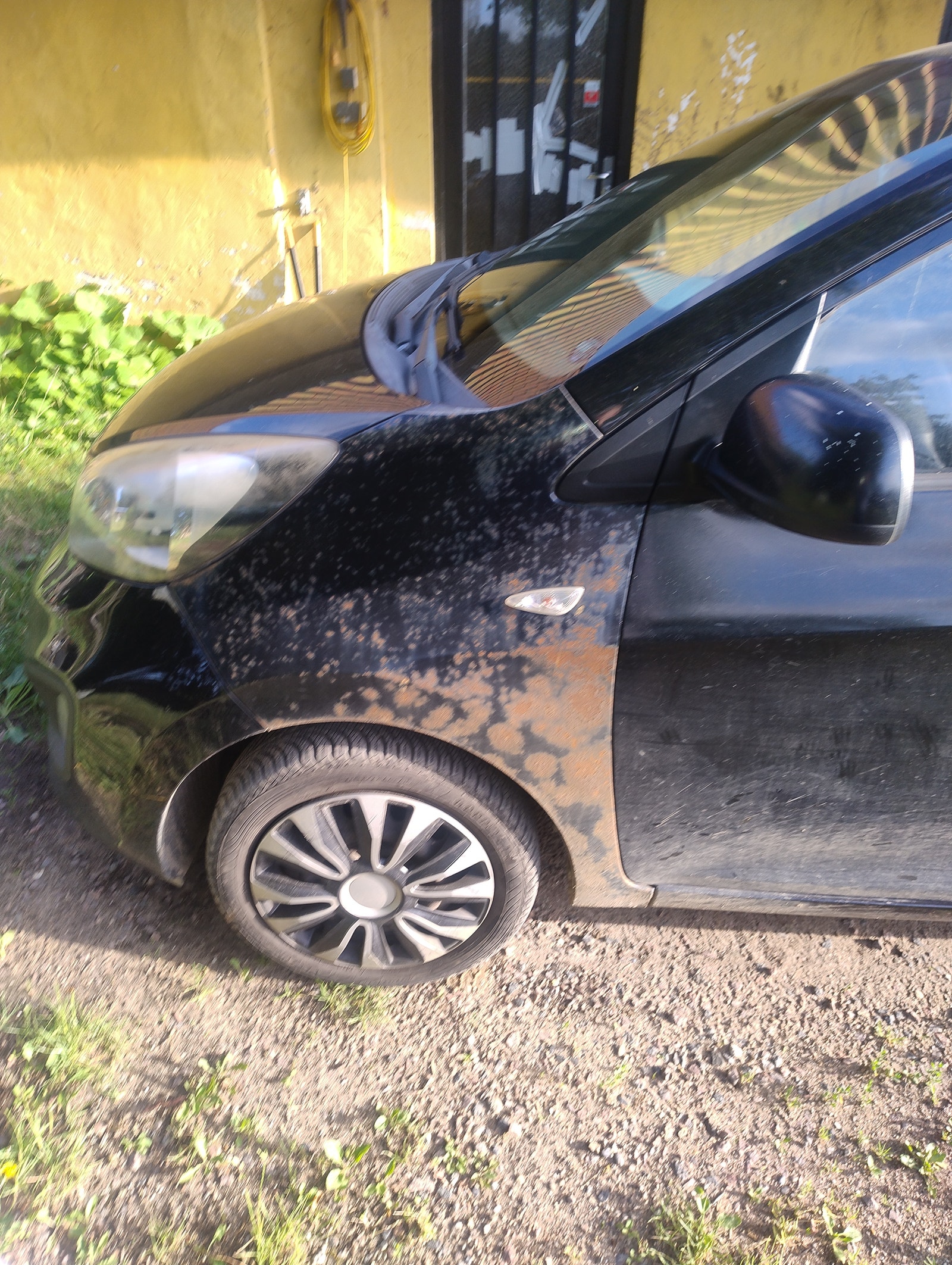 Kia Picanto til salg hos Nabilli