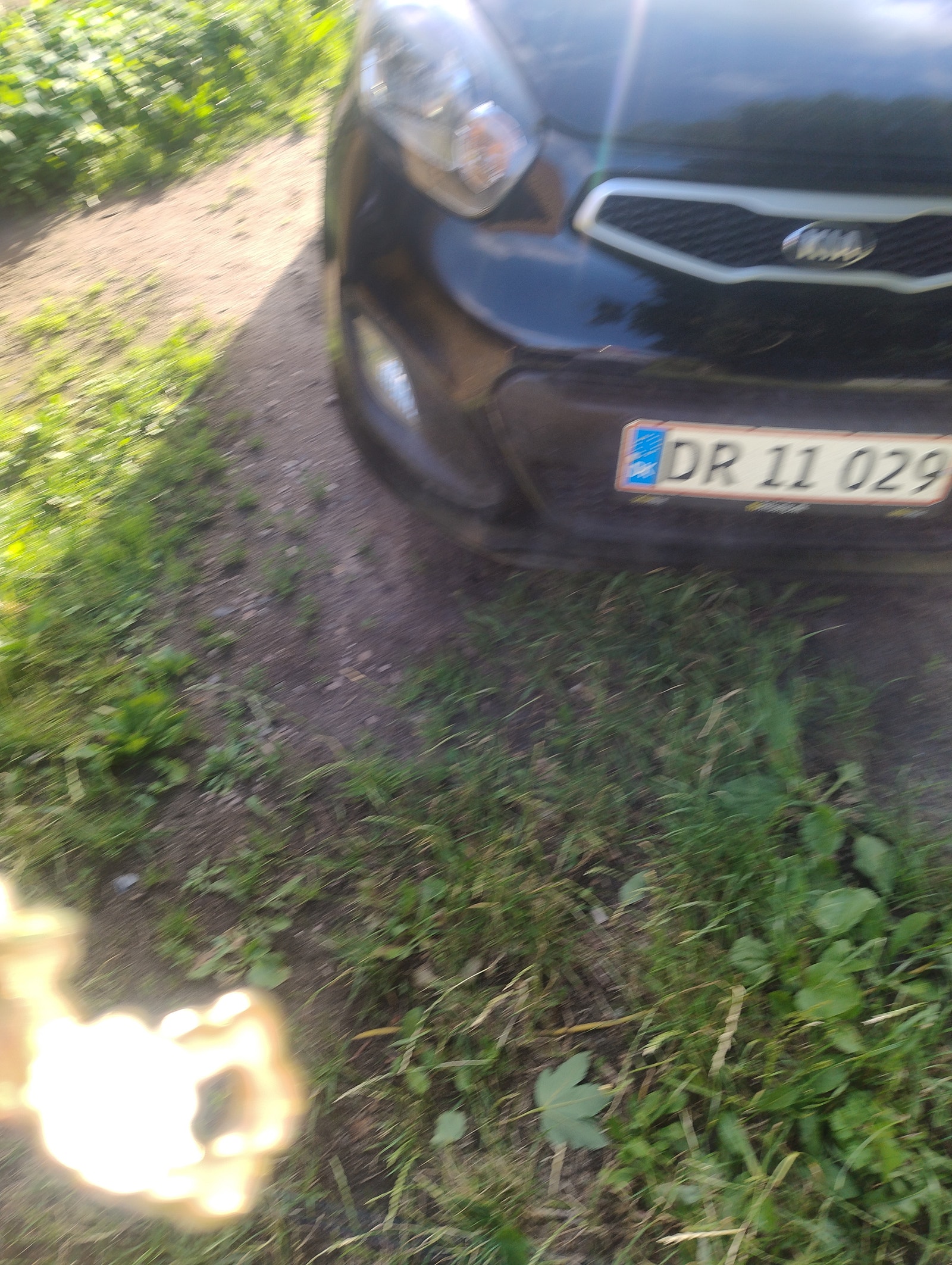 Kia Picanto til salg hos Nabilli