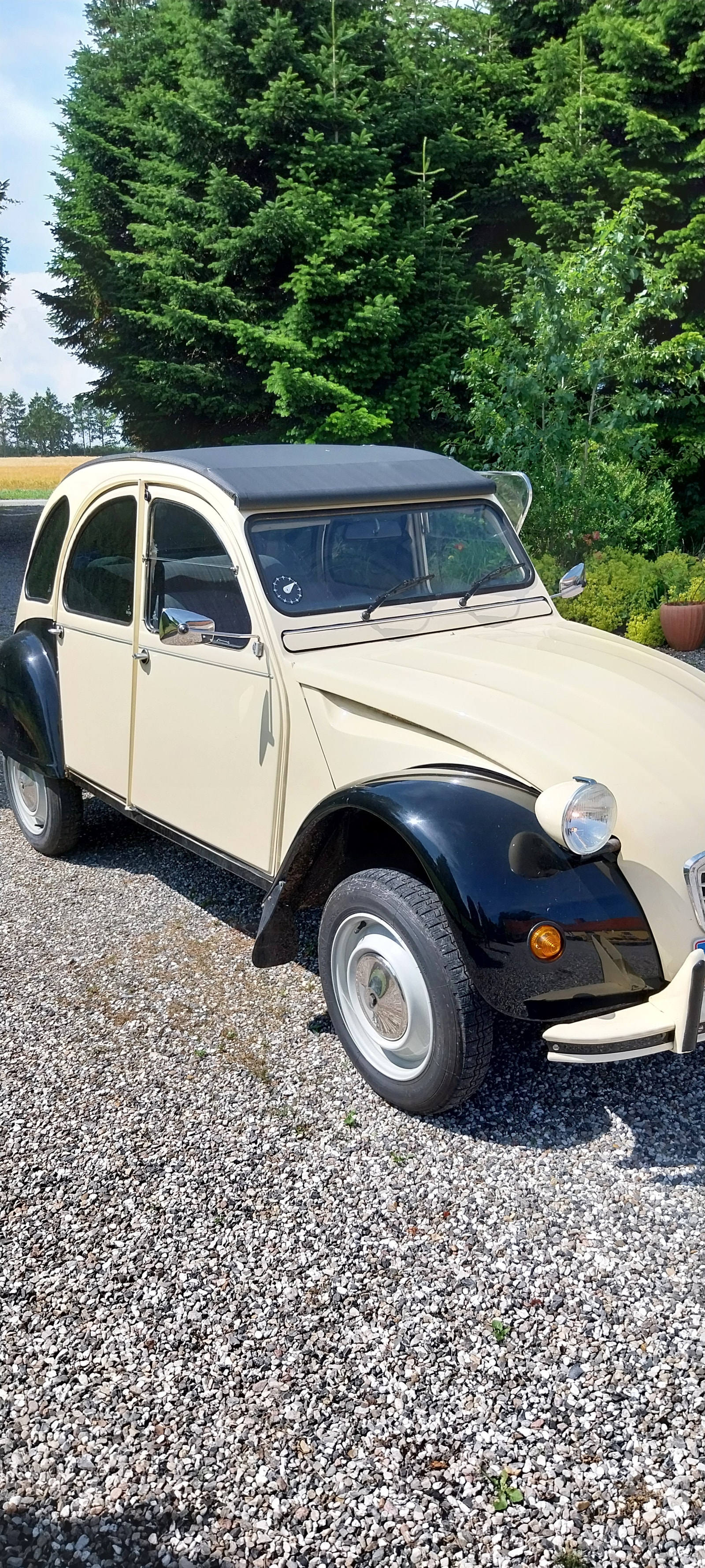 Citroen 2CV – billede 5
