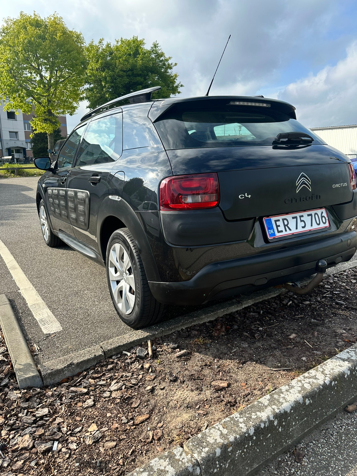 Citroen C4 Cactus – billede 8