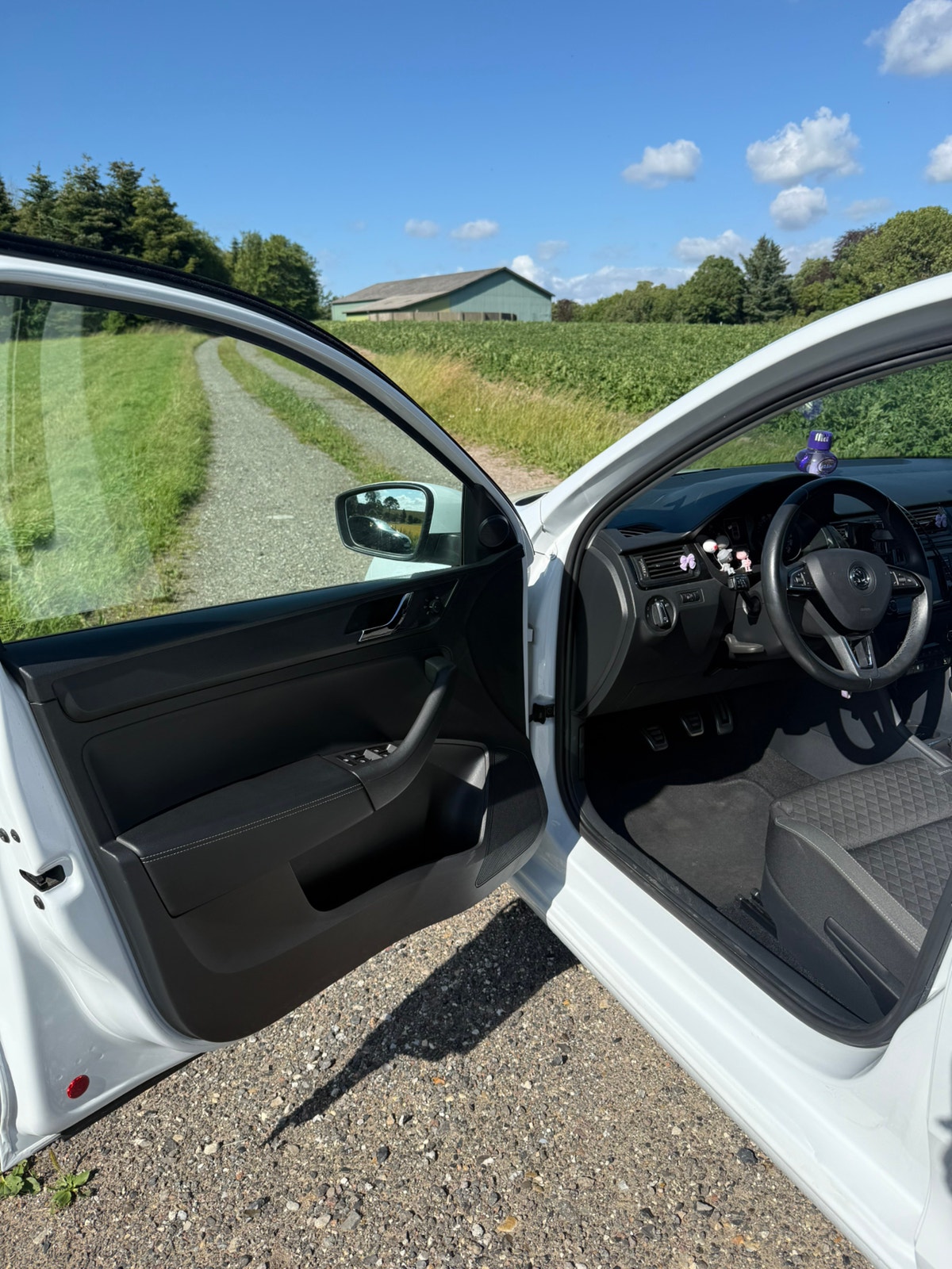 Skoda Rapid til salg hos Nabilli