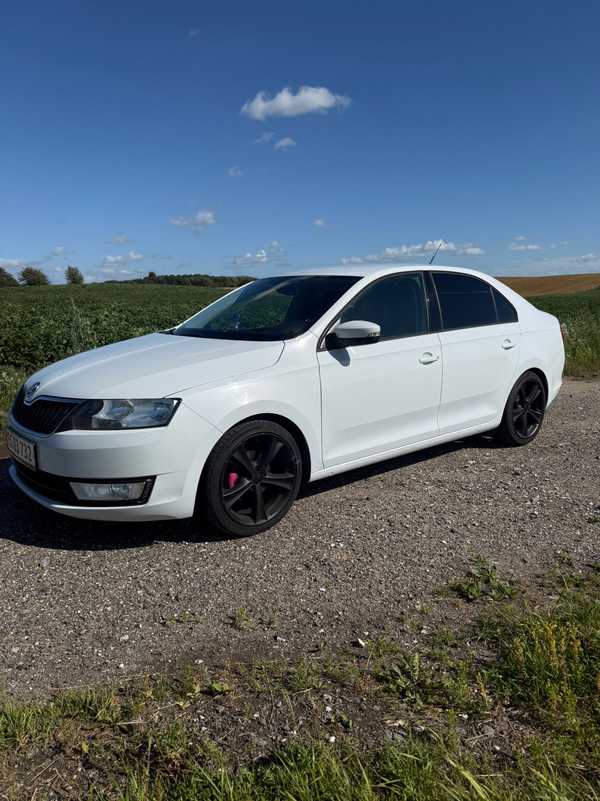 Skoda Rapid til salg hos Nabilli