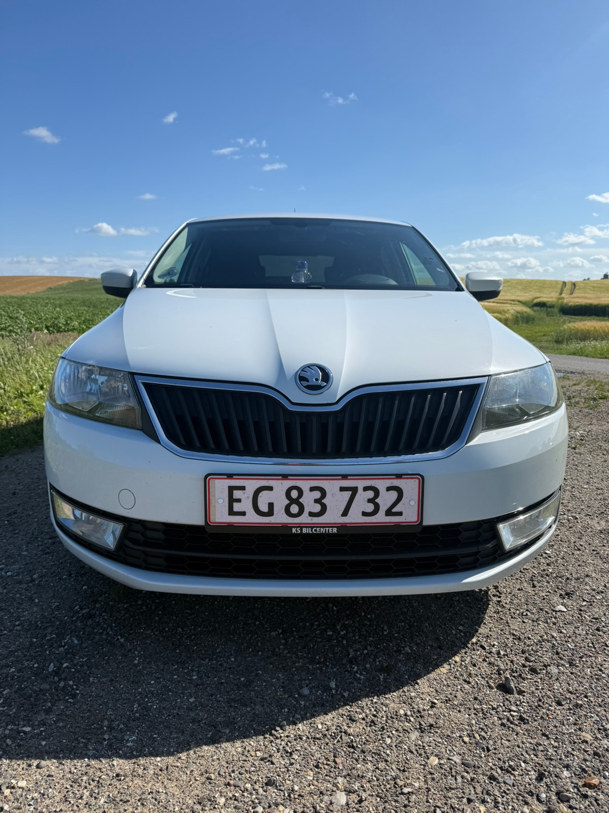 Skoda Rapid til salg hos Nabilli