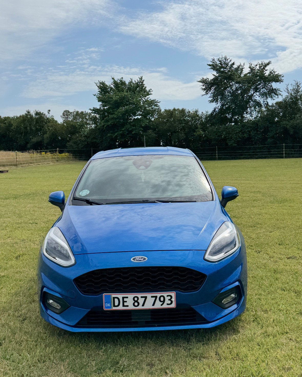 Ford Fiesta til salg hos Nabilli