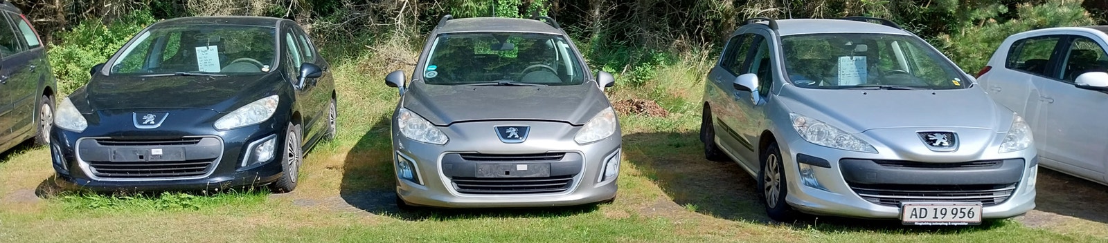 2000, 10.000 kr. – billede 4