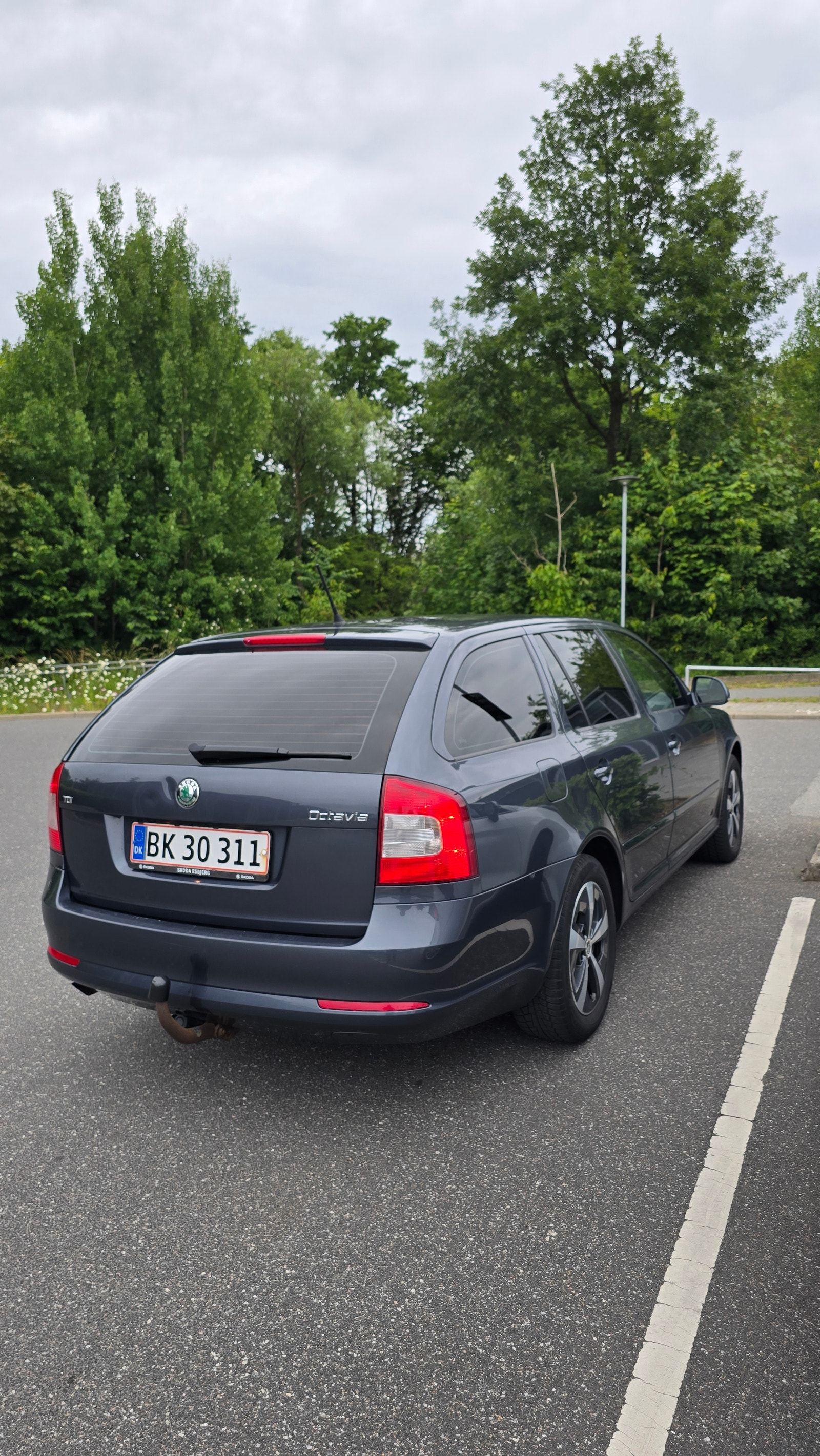 Skoda Octavia til salg hos Nabilli