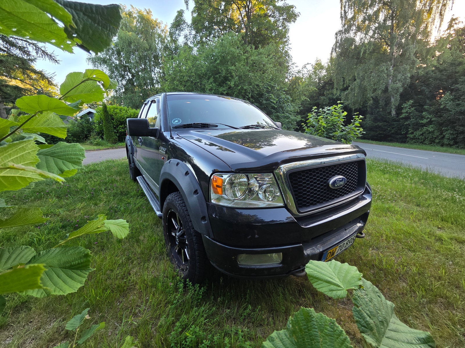 Ford F-150 – billede 2