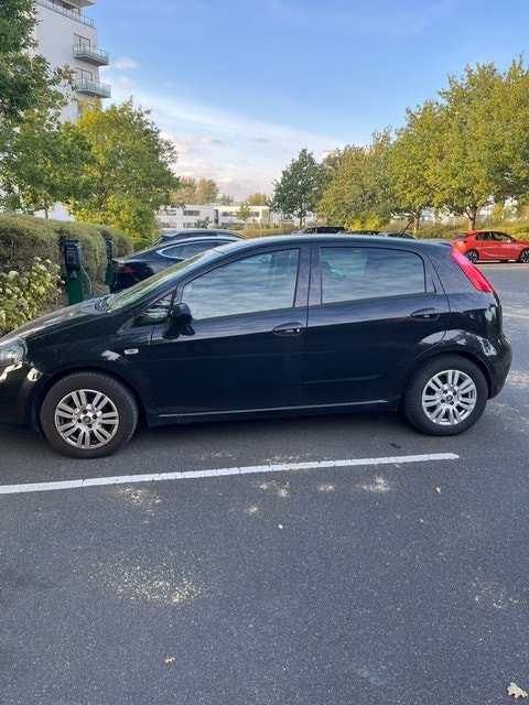 Fiat Punto – billede 8