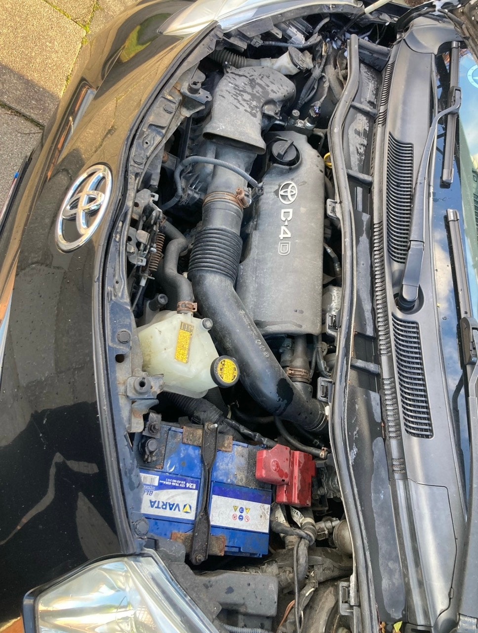 Toyota IQ – billede 3