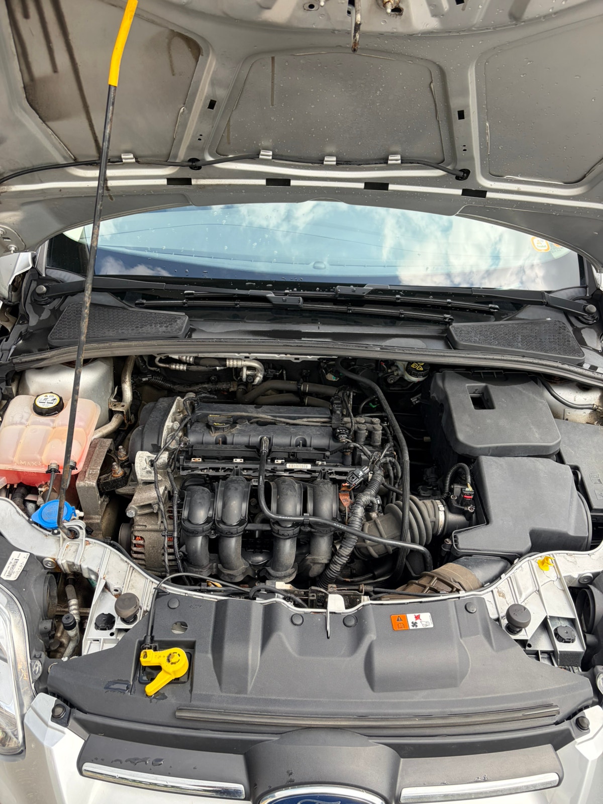 Ford Focus til salg hos Nabilli