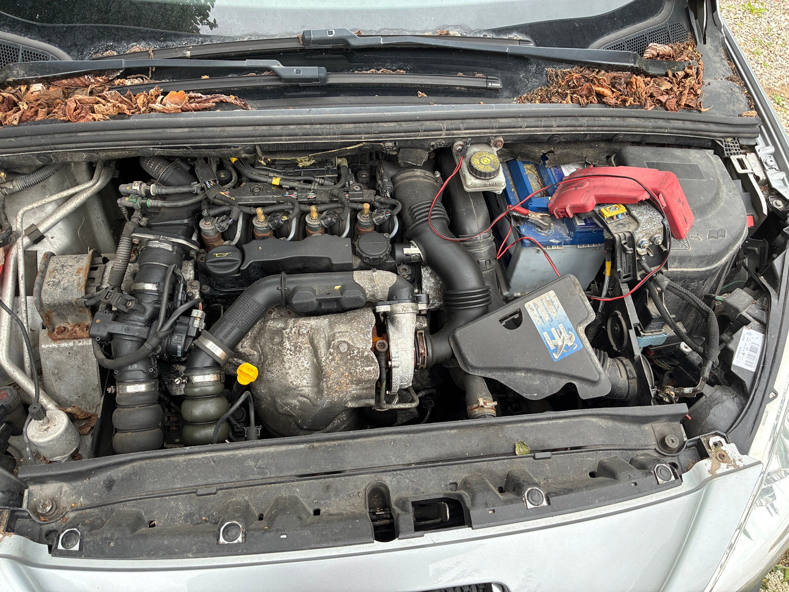 Peugeot 308 – billede 7