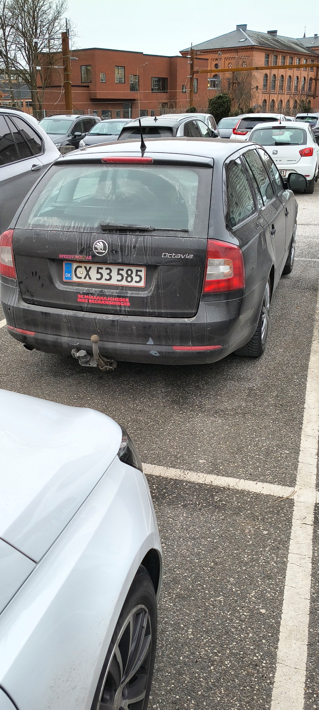 Skoda Octavia – billede 4