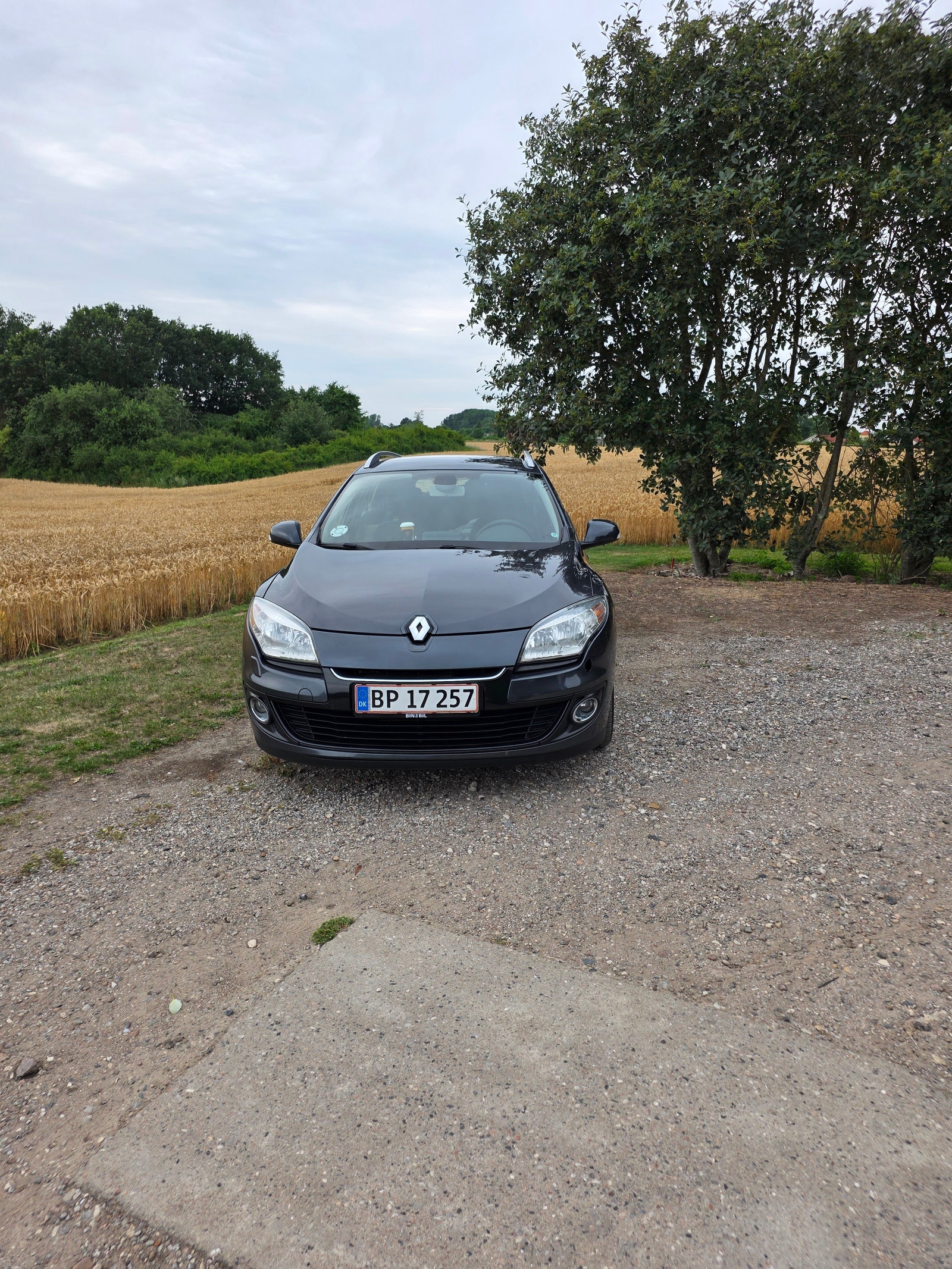 Renault Megane III – billede 3