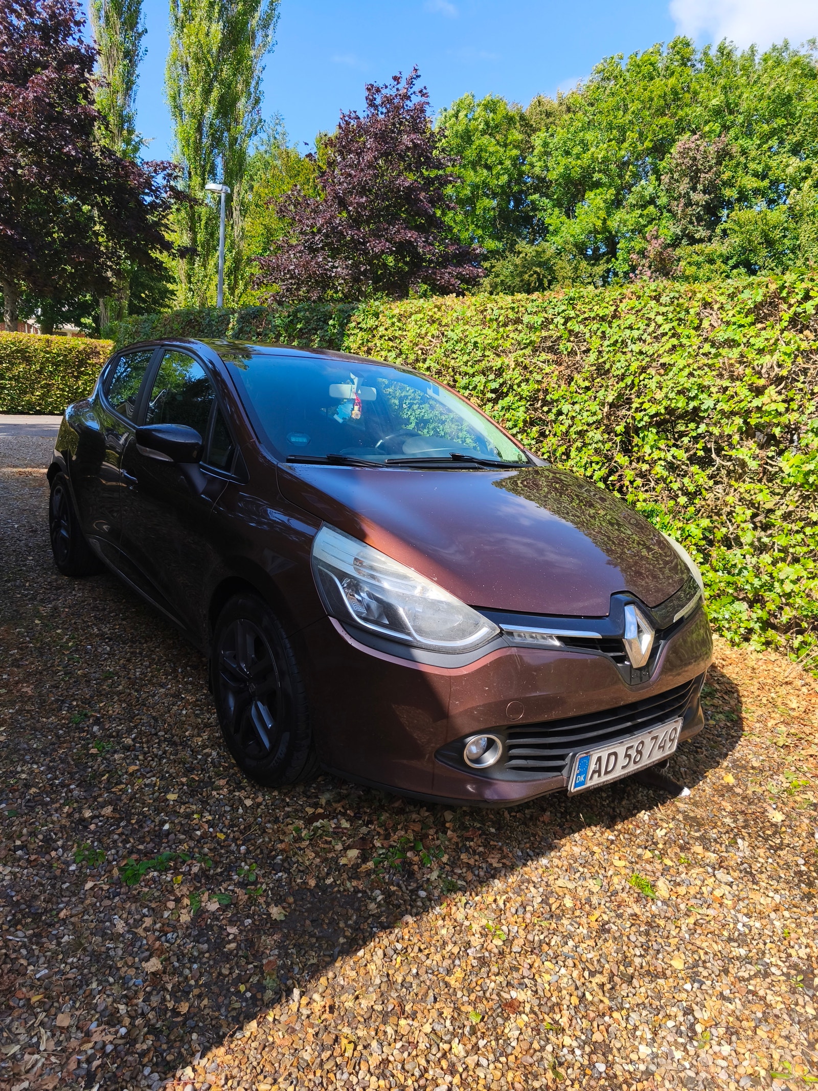 Renault Clio – billede 6
