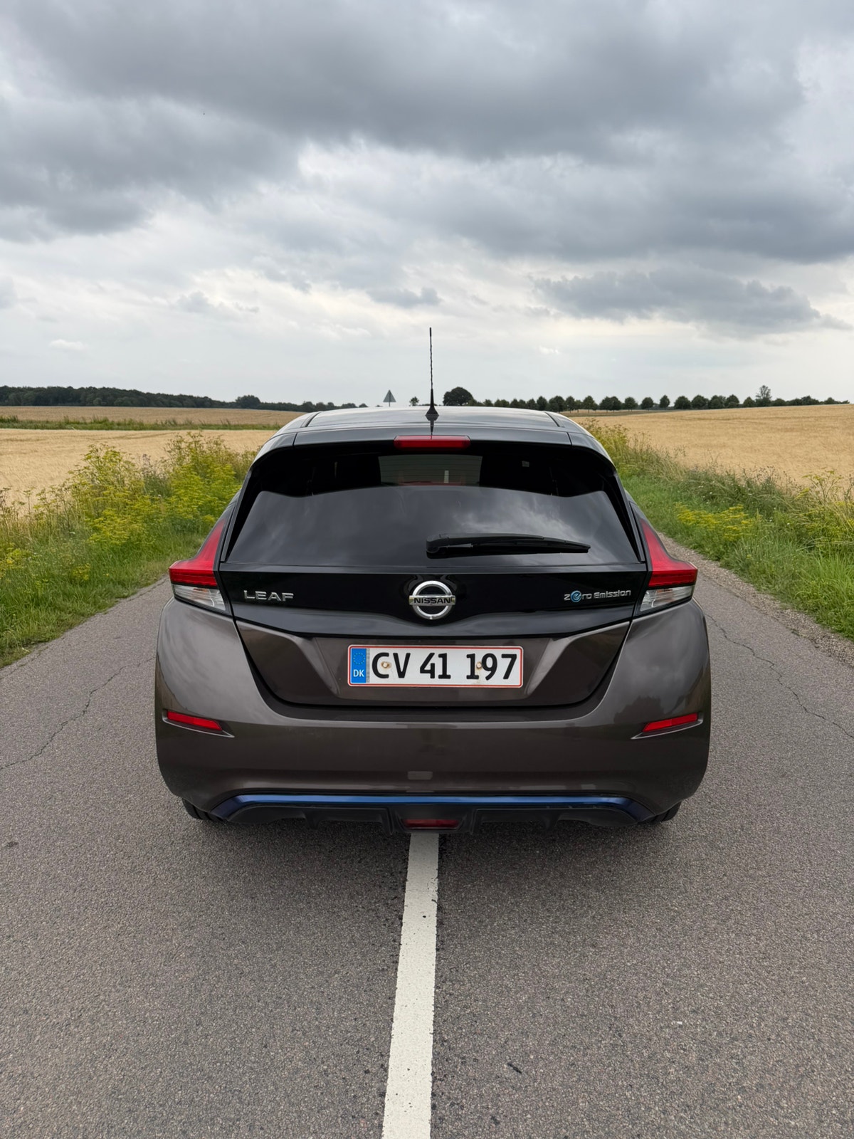 Nissan Leaf til salg hos Nabilli