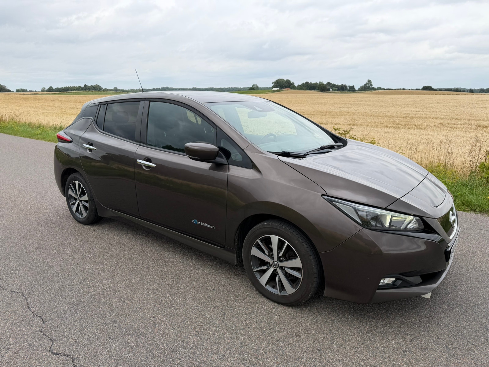 Nissan Leaf til salg hos Nabilli