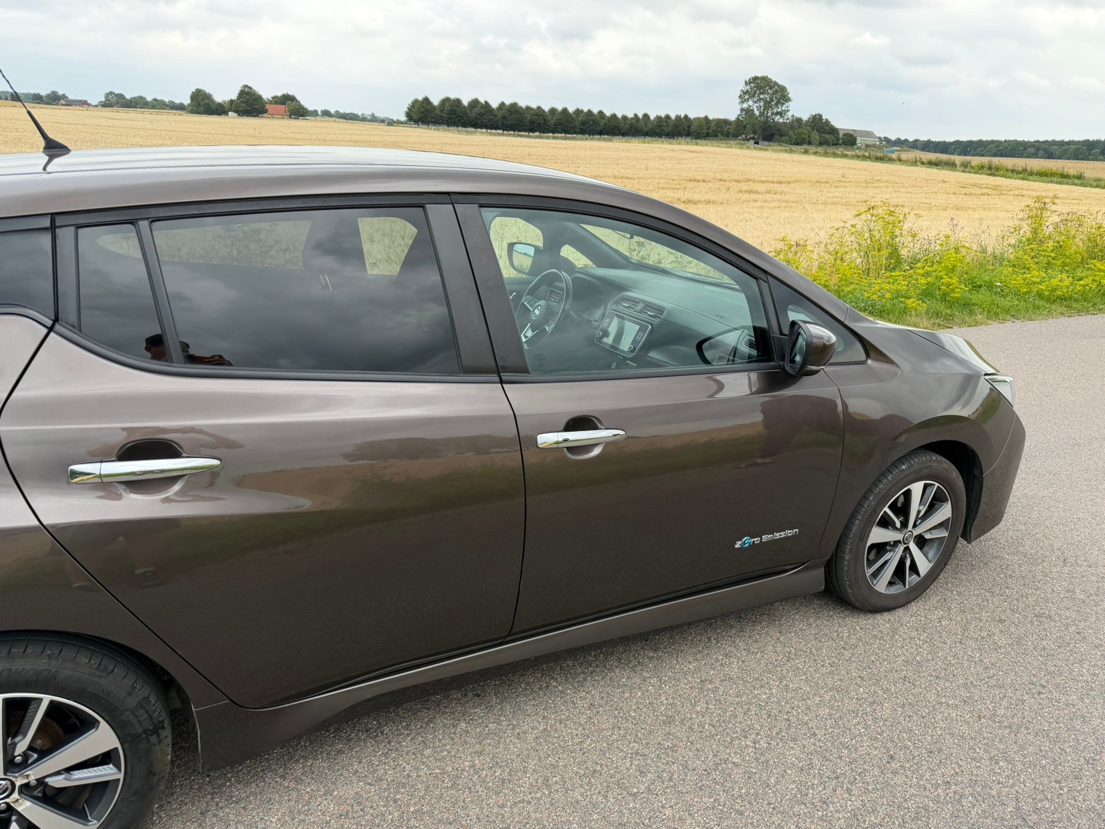 Nissan Leaf til salg hos Nabilli