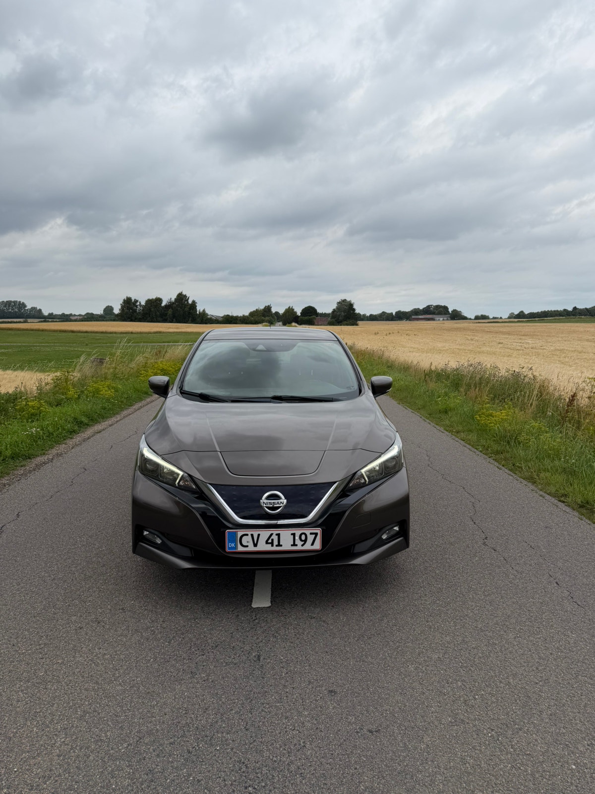 Nissan Leaf til salg hos Nabilli
