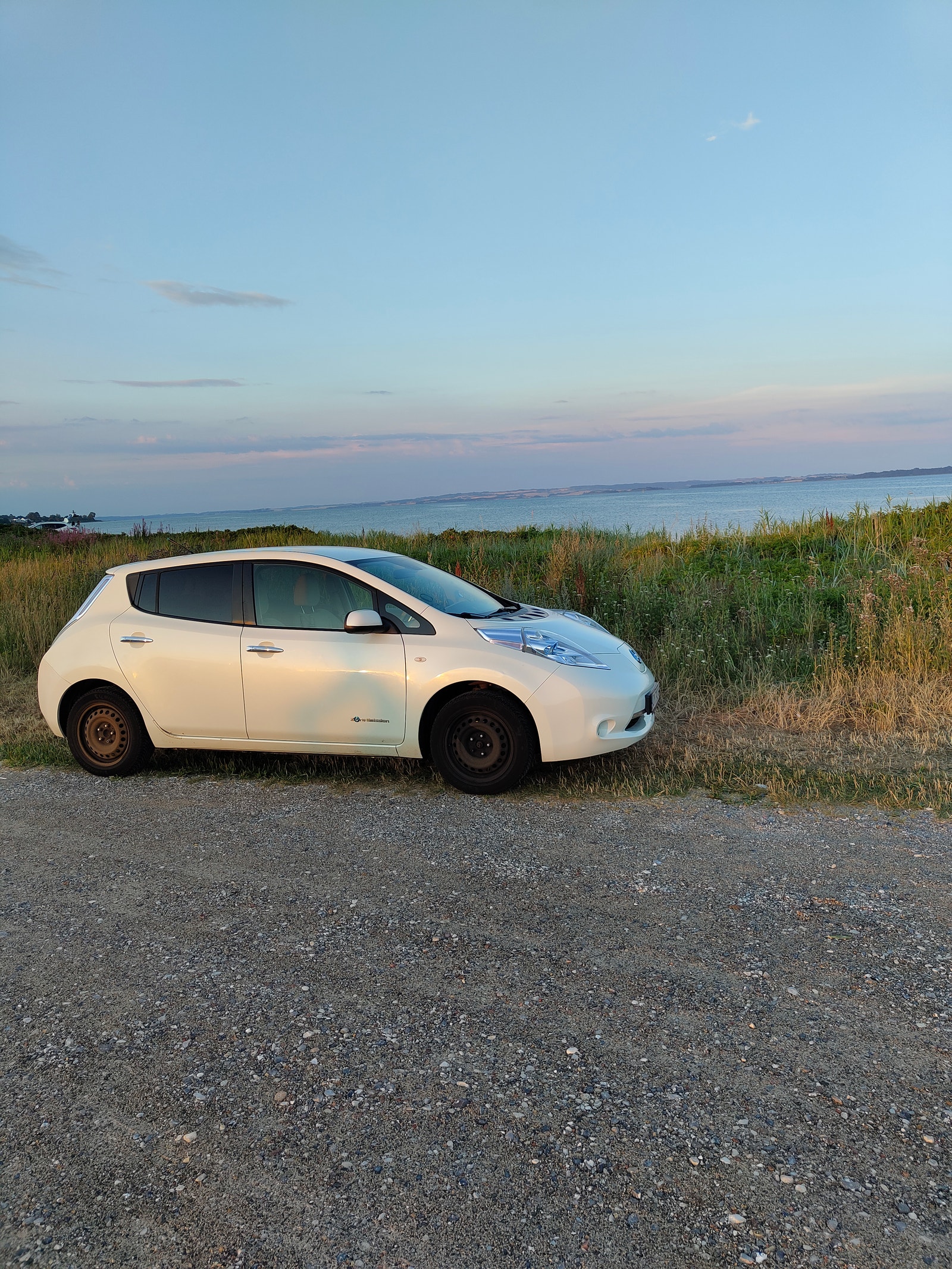 Nissan Leaf til salg hos Nabilli
