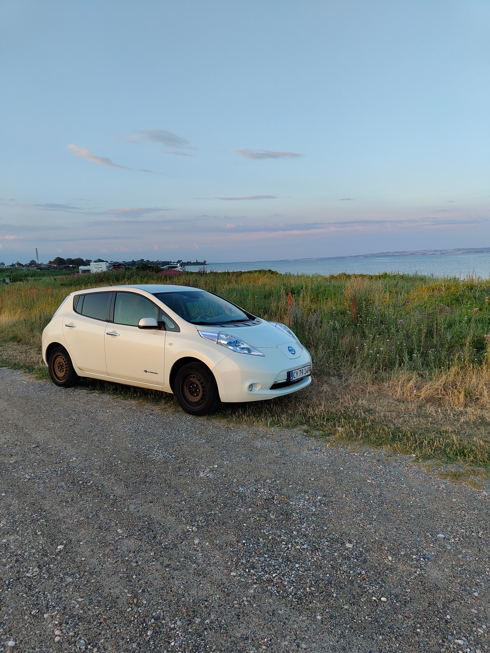 Nissan Leaf til salg hos Nabilli