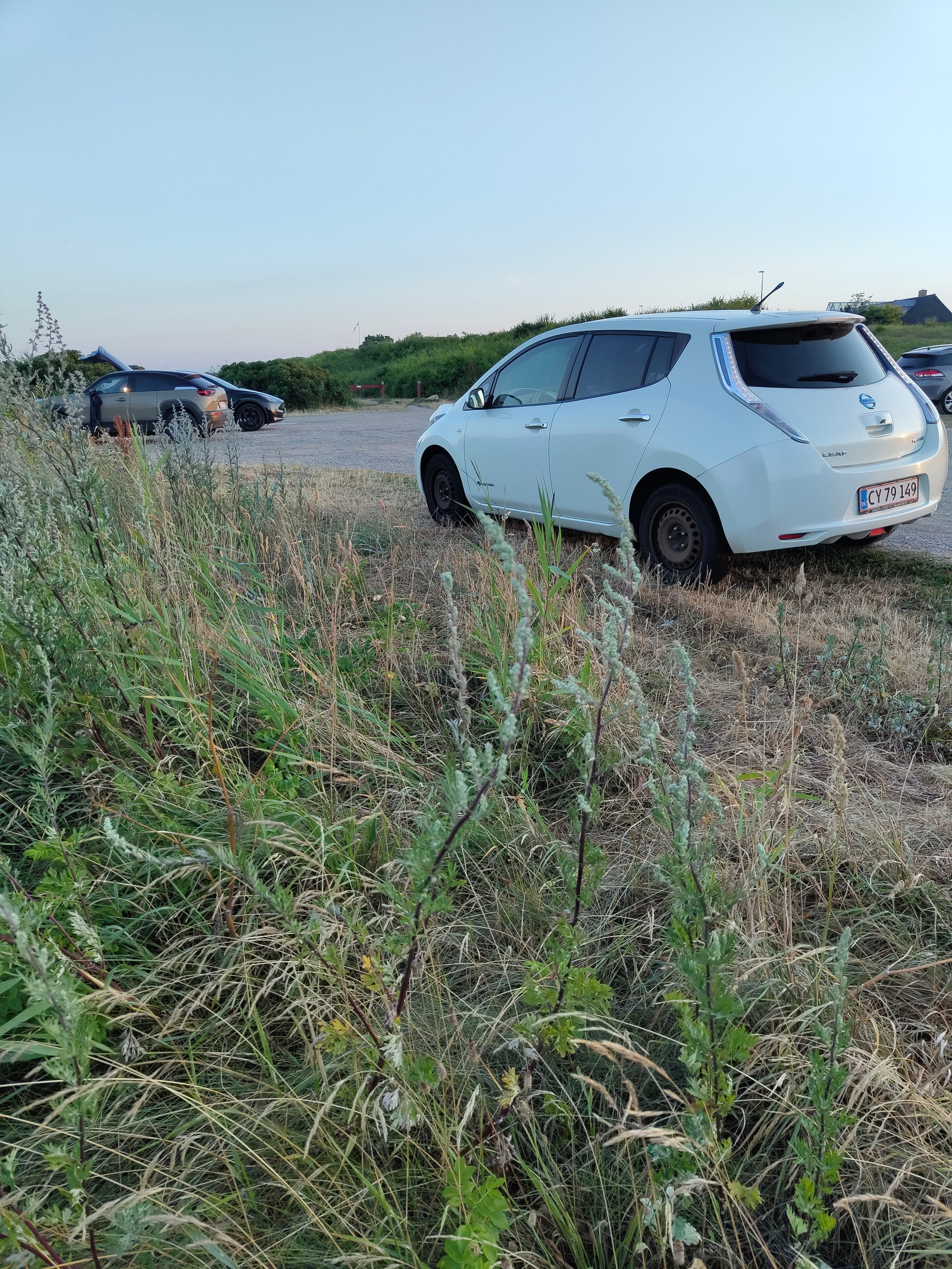 Nissan Leaf til salg hos Nabilli