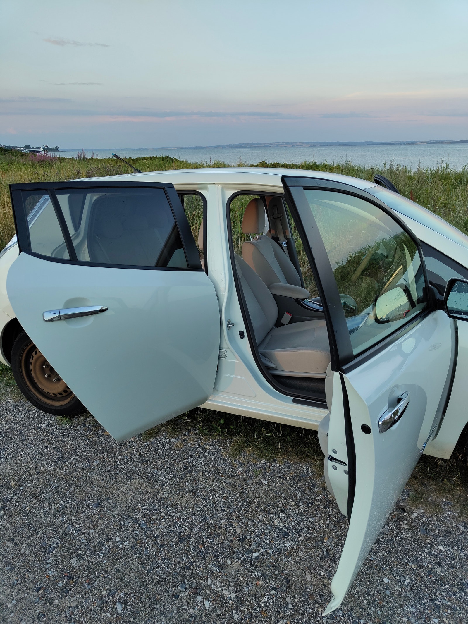 Nissan Leaf til salg hos Nabilli