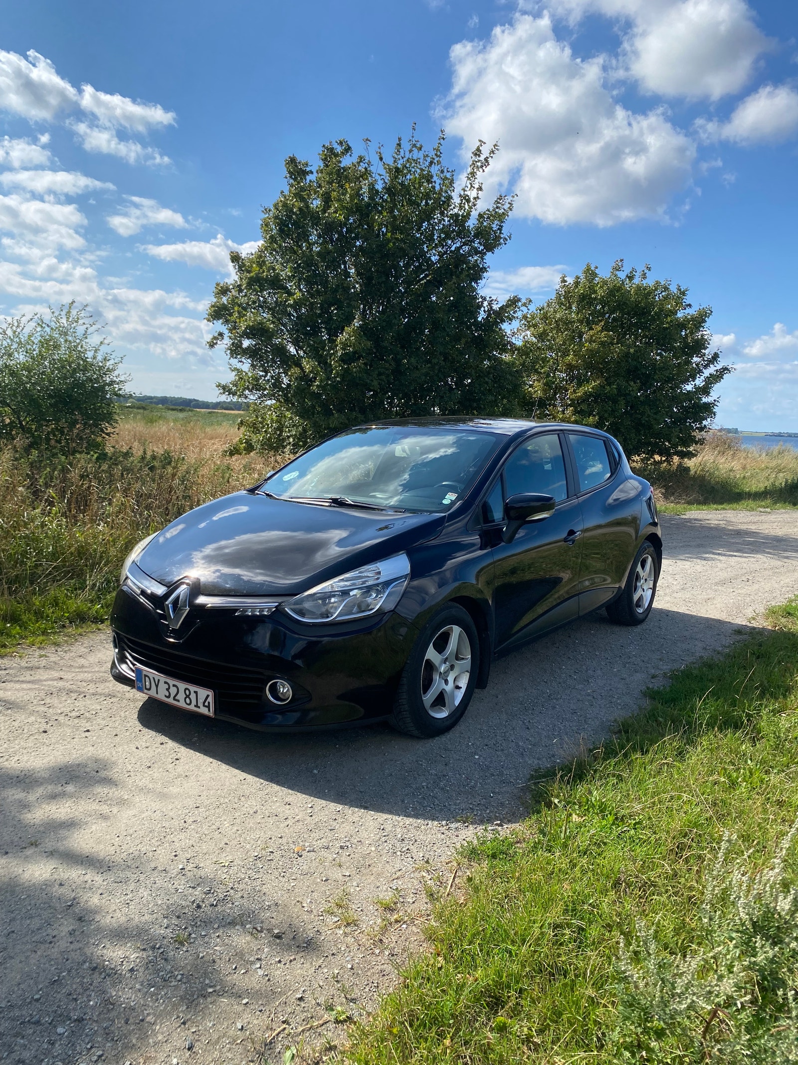 Renault Clio til salg hos Nabilli